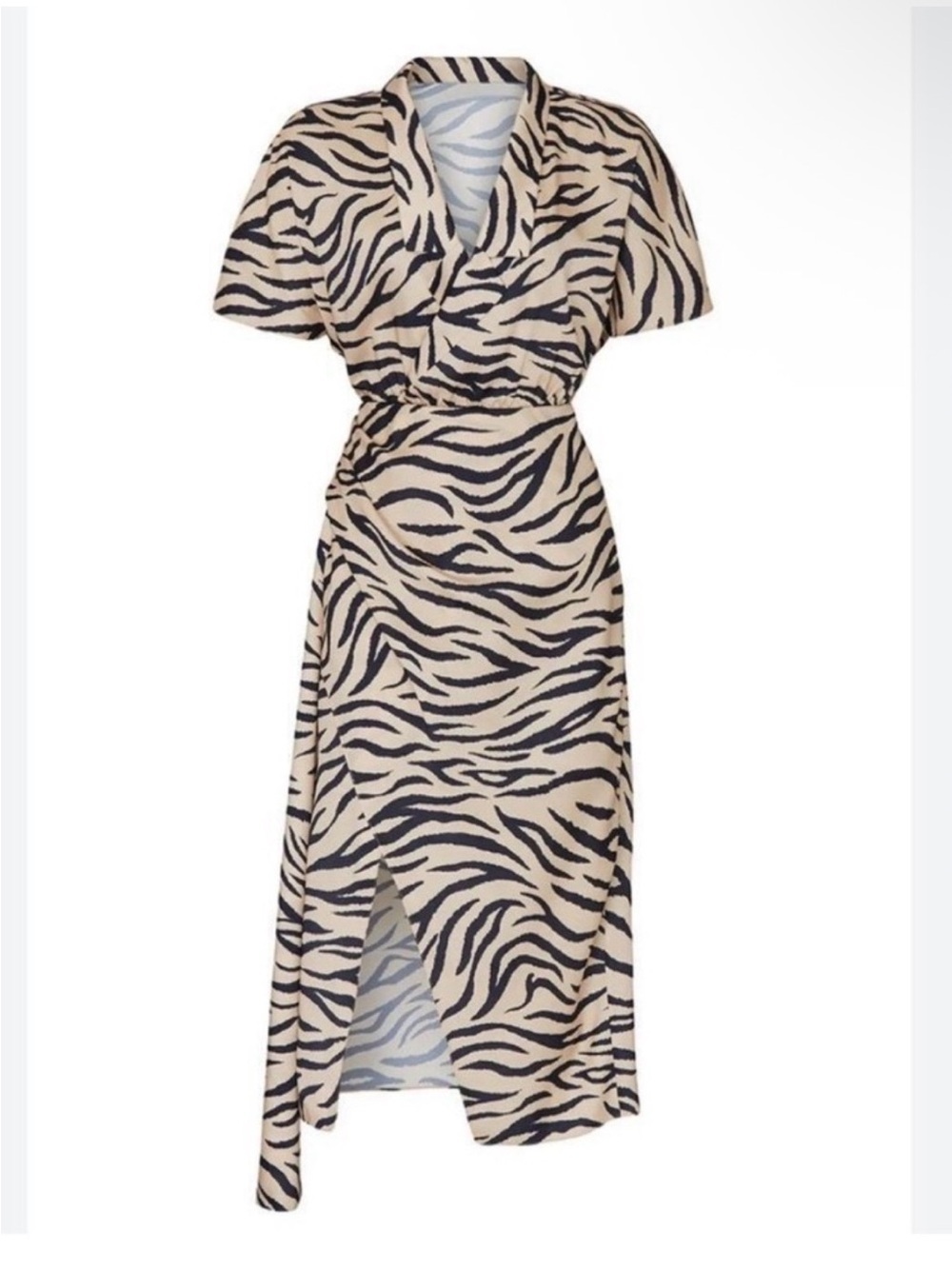 Sally LaPointe Zebra
Print Black - Picture 3 of 3